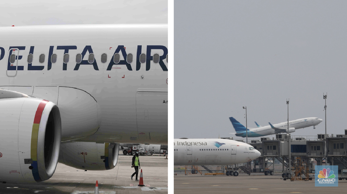 Bos Danantara Bocorkan Kapan Pelita Air Gabung ke Garuda Indonesia