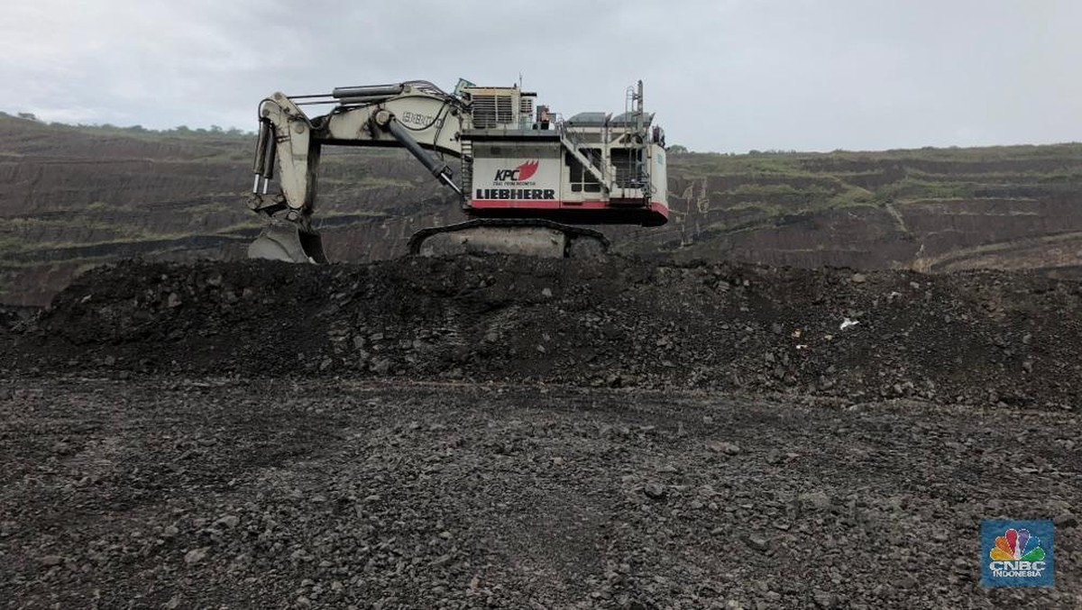 Lima Orang Ini Kuasai Batu Bara RI, Duit Tak Berseri