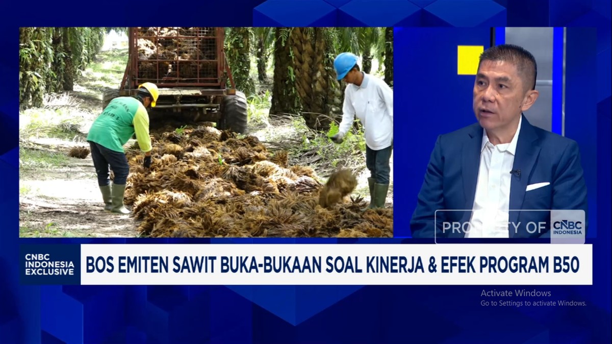 Video: Bos Sawit Buka-bukaan Soal Kinerja dan Efek Program B50