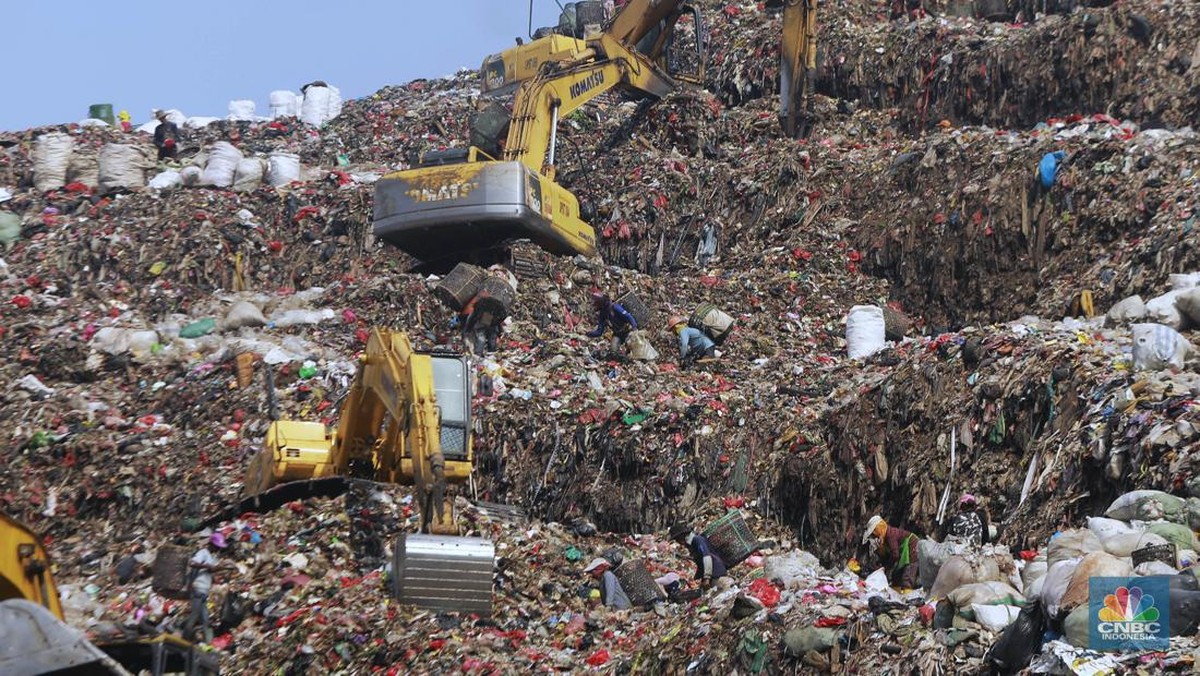 Danantara Ungkap Alasan Mayoritas Pemenang Tender WTE Asal China