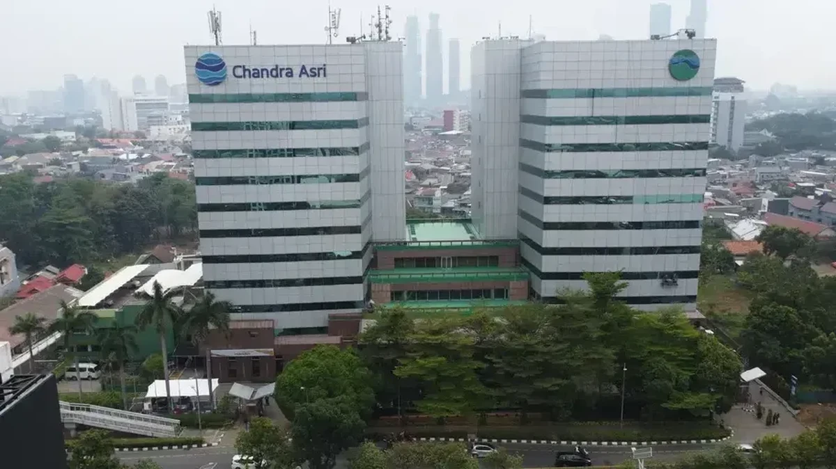BRPT dan Prajogo Jaminkan 3,6 Miliar Saham TPIA, Manajemen Buka Suara