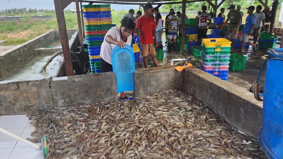 Emiten Ini Ubah Haluan Bisnis dan Caplok Dua Perusahaan Singapura