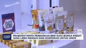 Prabowo ke Himbara:Bunga Kredit UMKM Harus Lebih Rendah dari Korporasi