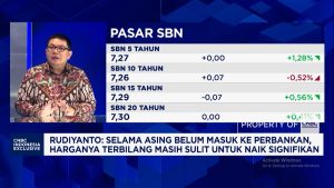Video: Sektor Yang Bisa Dipilih Investor Lokal Saat Volatilitas Tinggi