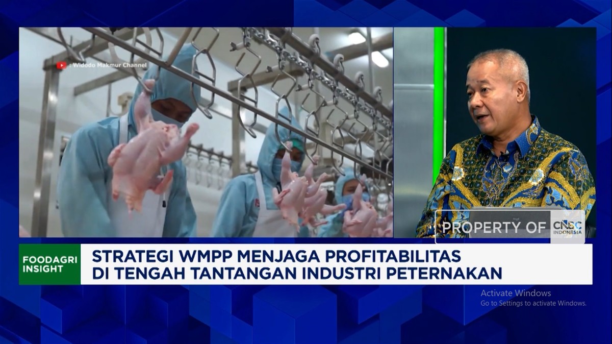 Video: Genjot Pendapatan, Bisnis Peternakan Tambah Utilisasi Pabrik
