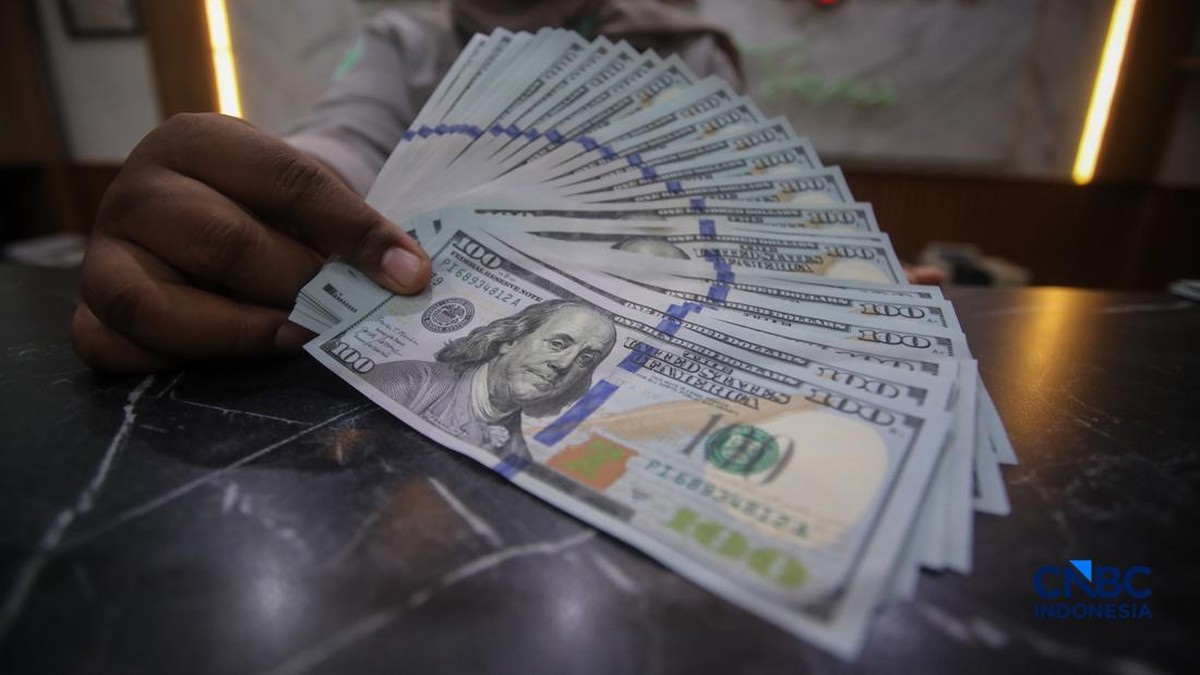 Banyak Warga RI Rajin Nabung Dolar, Tabungan Valas Naik 185%