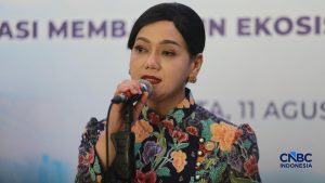 Destry Jadi Calon Tunggal Gubernur BI, Ini Komentar Bos OJK