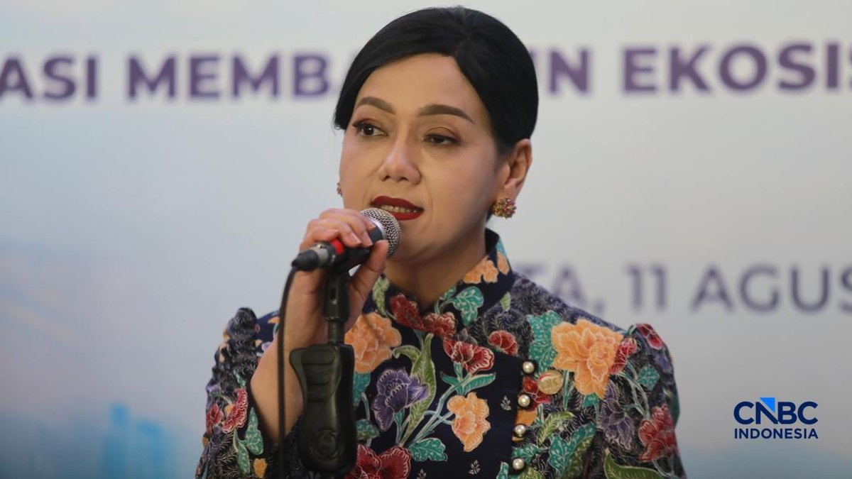 Destry Jadi Calon Tunggal Gubernur BI, Ini Komentar Bos OJK