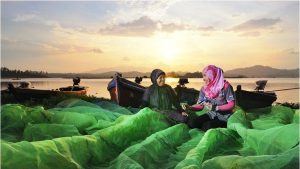 Tumbuh Bersama UMKM dan Gerakkan Ekonomi, Kredit BRI Capai Rp1.235 T